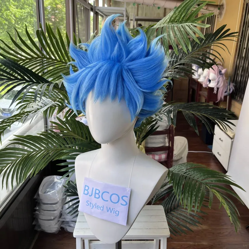 [Styled Wig]Ortho Cosplay Wig  - Men Accessories Korea recension och pris