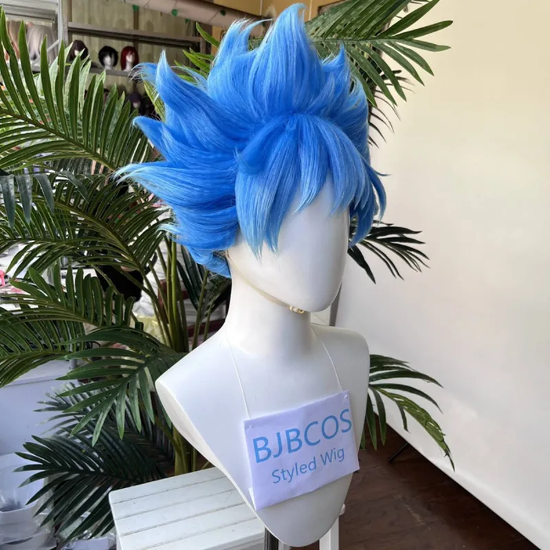 [Styled Wig]Ortho Cosplay Wig  - Men Accessories Korea recension och pris