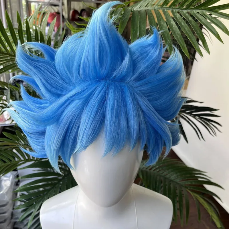 [Styled Wig]Ortho Cosplay Wig  - Men Accessories Korea recension och pris
